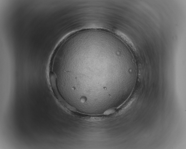 X0000102520942200808151530