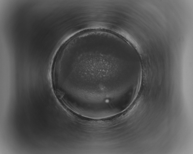 X0000102520943200808151530