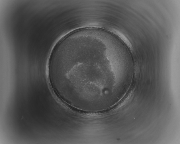 X0000102520944200808151530