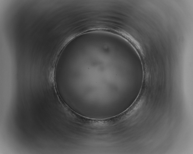 X0000102520945200808151530