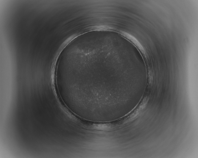 X0000102520946200808151530