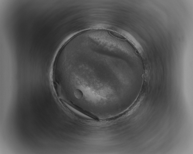 X0000102520948200808151530