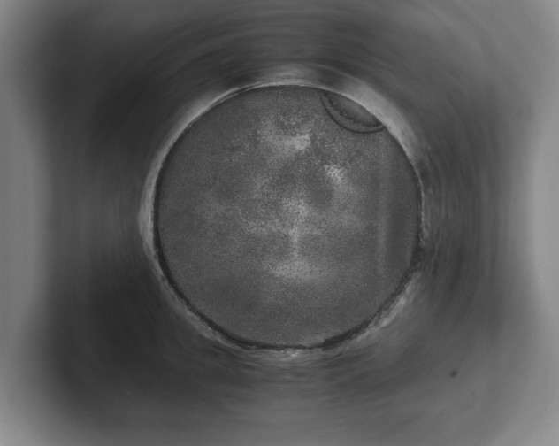 X0000102520949200808151530