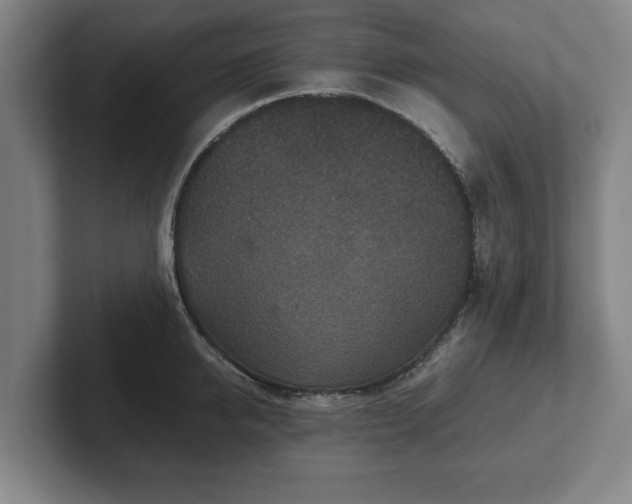 X0000102520950200808151530