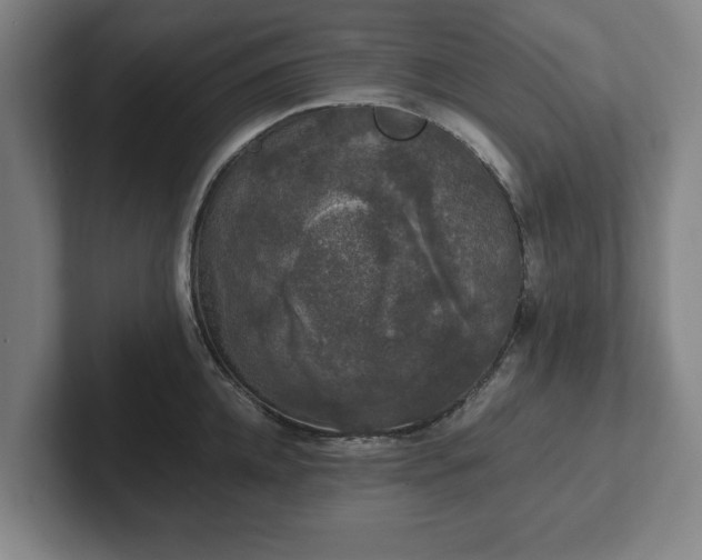 X0000102520952200808151530