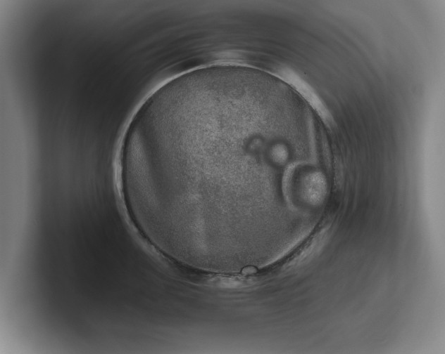 X0000102520955200808151530