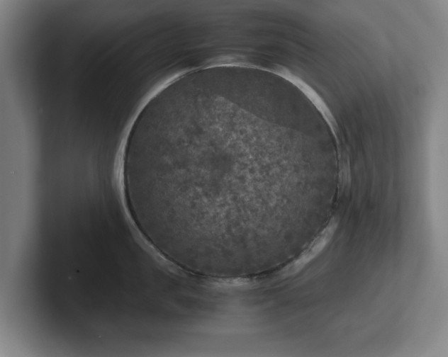 X0000102520957200808151530