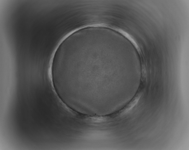 X0000102520959200808151530