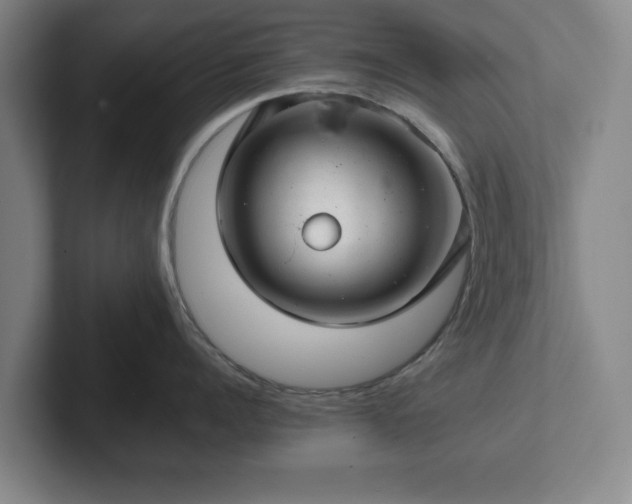 X0000102520960200808151530