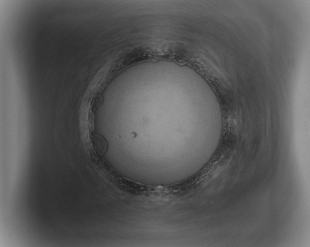 X0000102520961200808151529