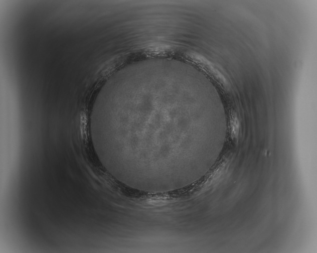 X0000102520964200808151529