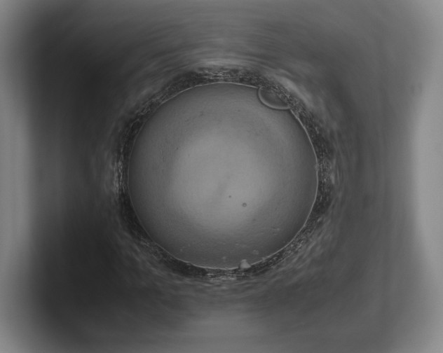 X0000102520965200808151529