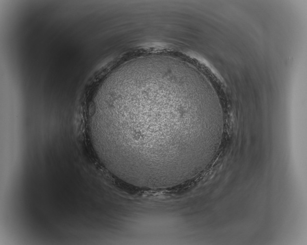 X0000102520967200808151529