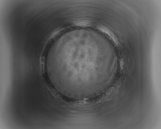 X0000102520968200808151529