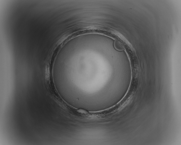 X0000102520969200808151529