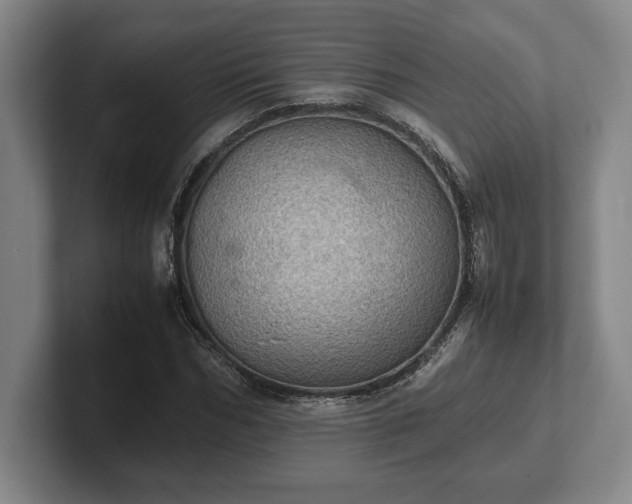 X0000102520970200808151529