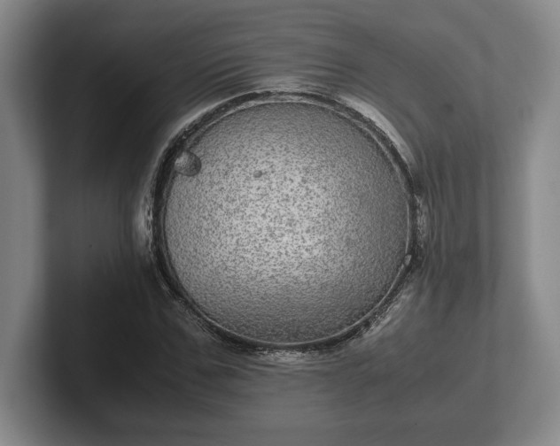 X0000102520971200808151529