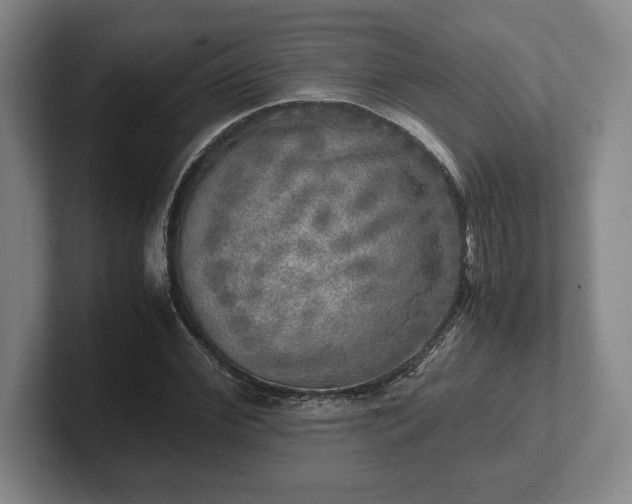 X0000102520972200808151529