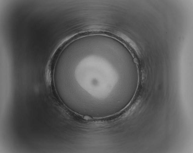 X0000102520973200808151529