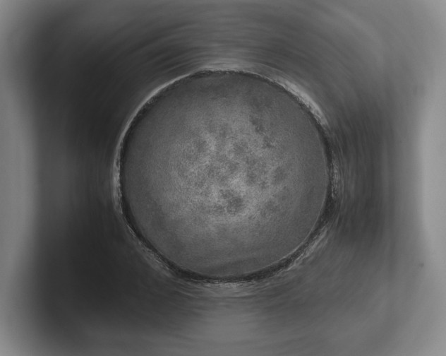 X0000102520976200808151529