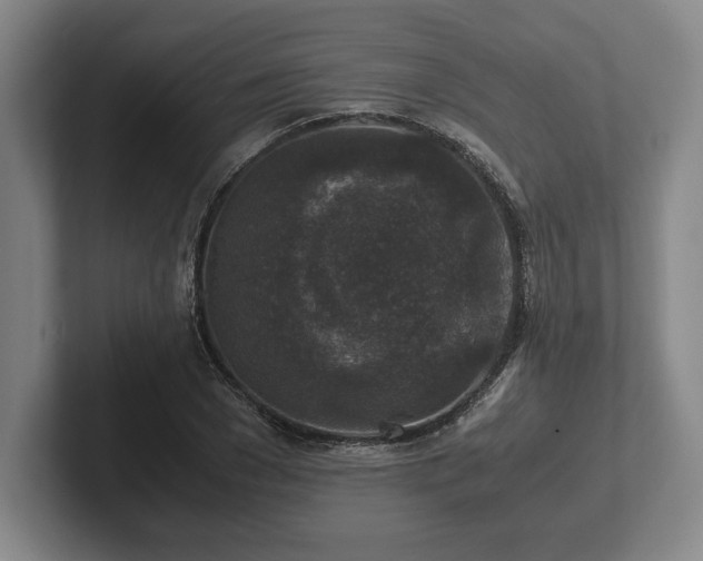 X0000102520977200808151529