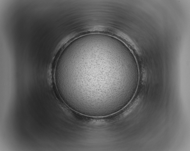 X0000102520978200808151529