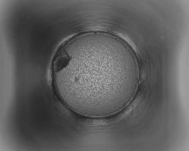 X0000102520979200808151529