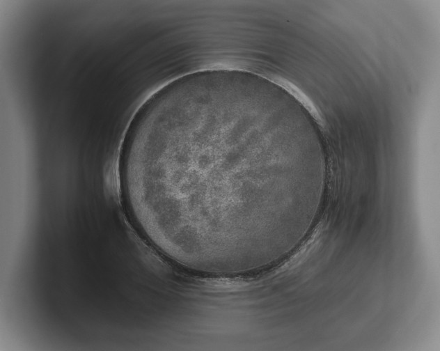 X0000102520980200808151529