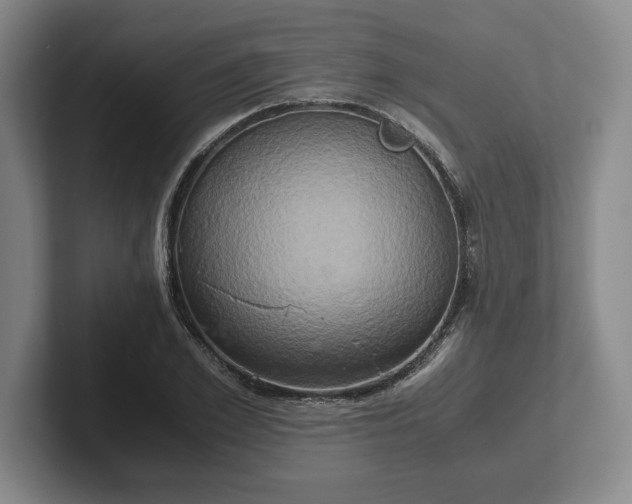 X0000102520981200808151529