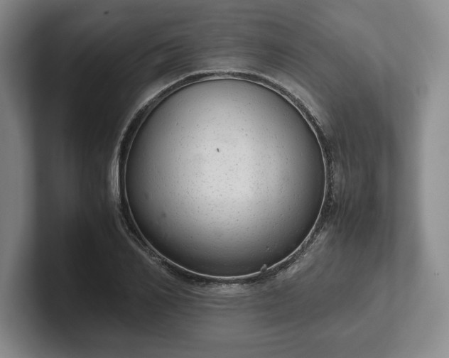 X0000102520982200808151529