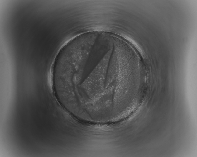 X0000102520983200808151529