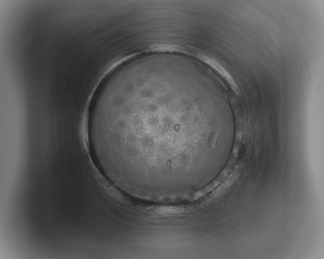 X0000102520984200808151529