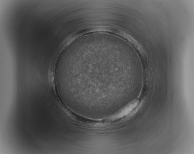 X0000102520985200808151529