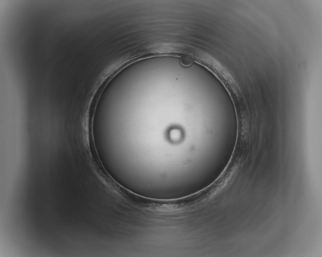 X0000102520986200808151529