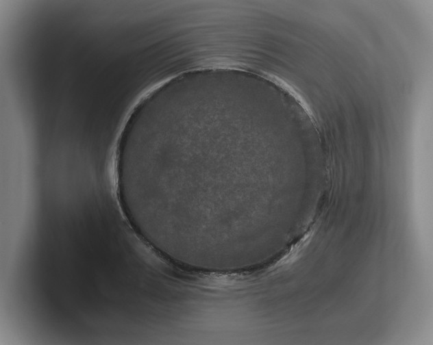 X0000102520987200808151529