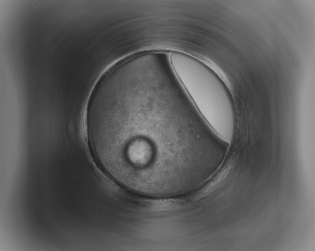 X0000102520988200808151529