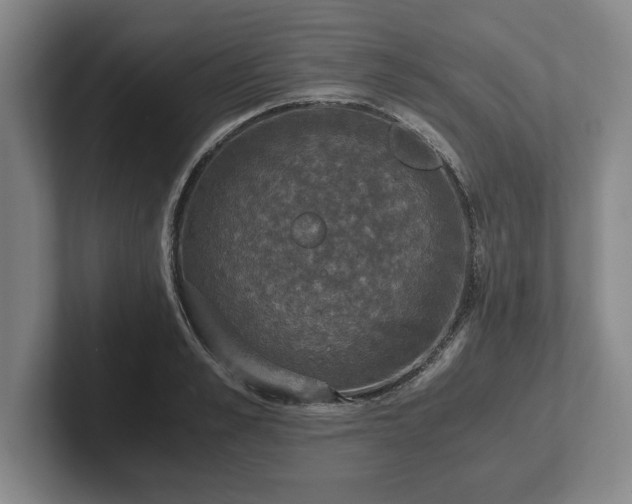 X0000102520989200808151529