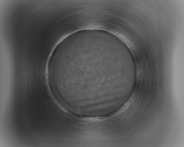 X0000102520990200808151529