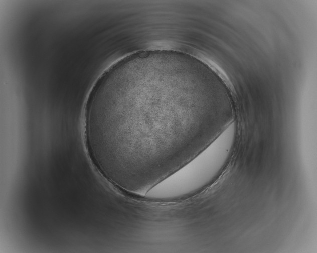 X0000102520992200808151529