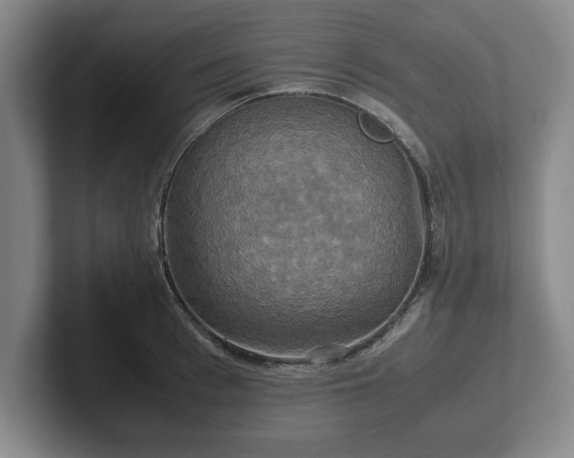 X0000102520993200808151529