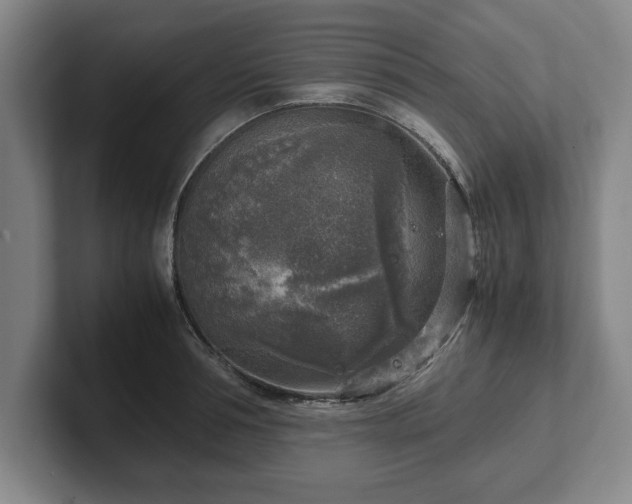 X0000102520994200808151529