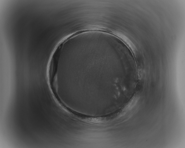 X0000102520995200808151529