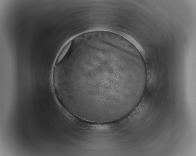 X0000102520996200808151529