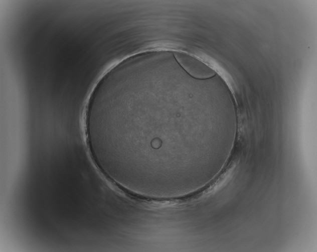 X0000102520997200808151529