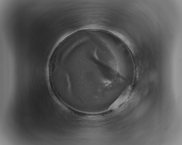 X0000102520998200808151529