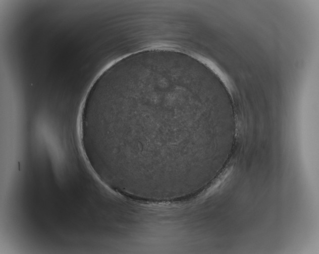 X0000102520999200808151529