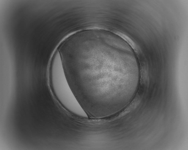 X0000102521000200808151529