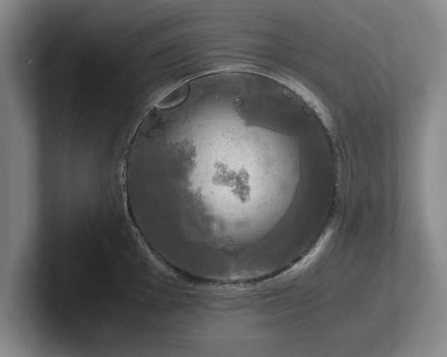 X0000102521001200808151529