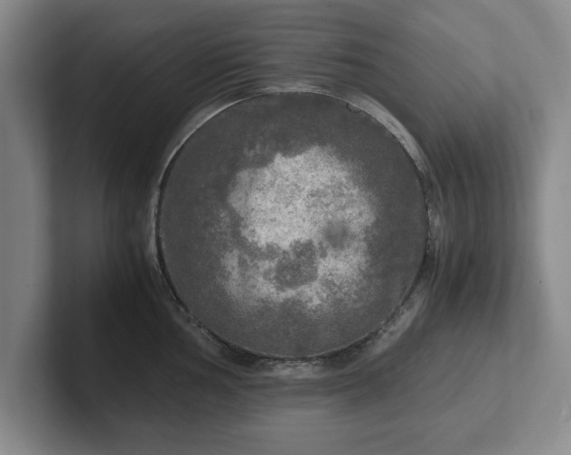 X0000102521002200808151529