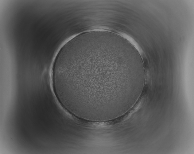 X0000102521003200808151529